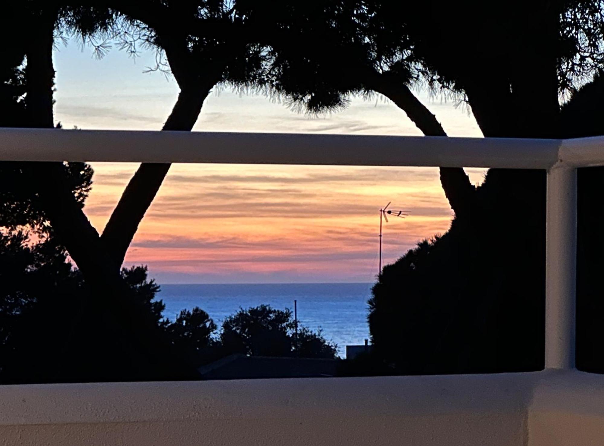 Casa Ad Mare Trafalgar Los Canos De Meca Dış mekan fotoğraf